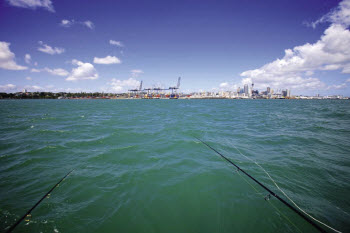 Dragging soft plastics